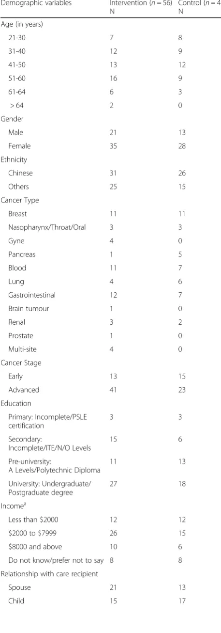 Table 1 Demography of the intervention and control groups