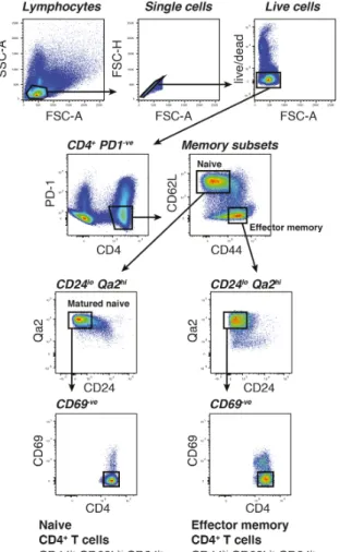 Fig. 2.2: FACS of naive and effector memory CD4 + T cells.