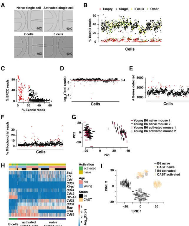 Fig. 2.3: Quality control of isolated CD4 + T cells (Full legend on next page).