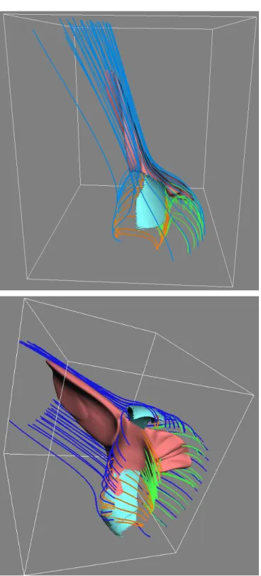 Fig. 3.— Three-dimensional view of the emerged region, the reconnection site and the jet at the time of peak reconnection activity (top: