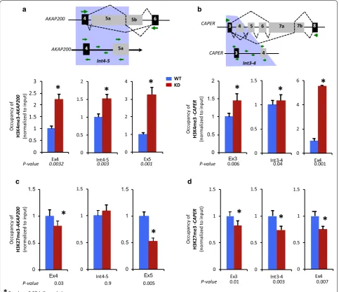 Fig. 4 Knockdown of PARP1 induces dynamic changes in the occupancy of histone marks. The occupancy of activating histone marks (H3K4me3; lower panels of a, b) at AKAP200 (a) and CAPER (b), and the occupancy of the repressive histone marks (H3K27me3) at AKA