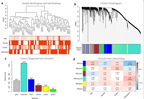 Fig. 2 Construction and identification of modules associated with the clinical traits