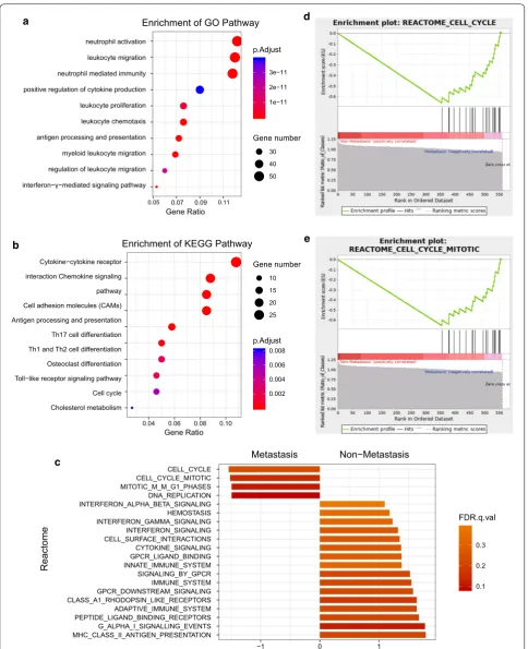 Fig. 3 Functional enrichment analysis of blue module. a GO analysis of all genes in blue module