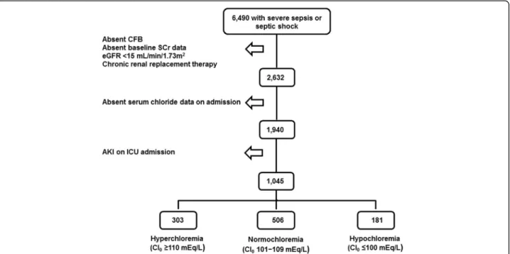 Fig. 1 Flowchart of Patient Inclusion and Reasons for Exclusion. CFB = cumulative fluid balance; Cl 0 = serum chloride at the time of ICU admission;