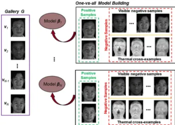 Fig. 4. Illustration of one-vs-all PLS model building. Note that face images shown here actually represent the feature vectors used for model building.