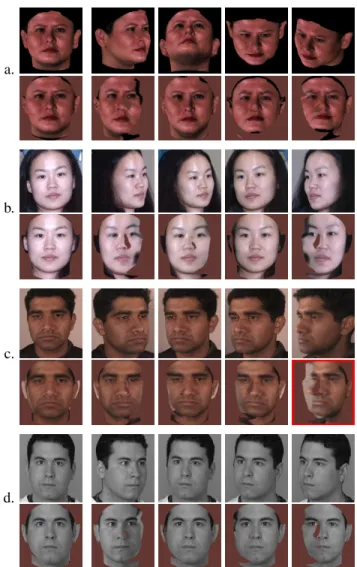 Figure 7 gives examples of images from several data sets that have been pose-normalized using our fully automatic method