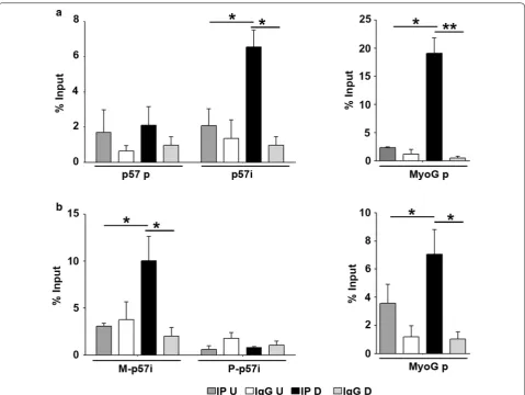 Fig. 7 MyoD binds to the maternal figure in which values are the mean p57 intragenic region upon differentiation