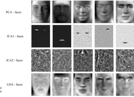 Figure 3. Face representations found by PCA (eigenfaces), ICA1, ICA2, and LDA.
