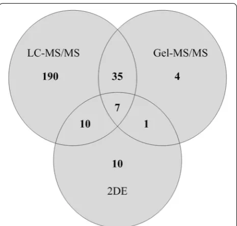 Fig. 1 Summary of proteins identified by 2DE, Gel-MS/MS, and LC–MS/MS of radical prostatectomy sections