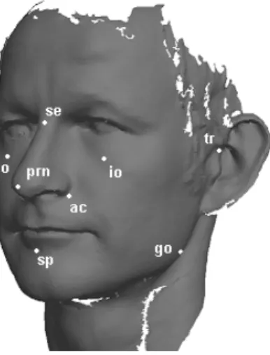 Figure 11: The position of the automated detected landmarks in the face, the landmarks on this scan are manually located