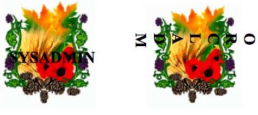 Figure 7. Database watermark   