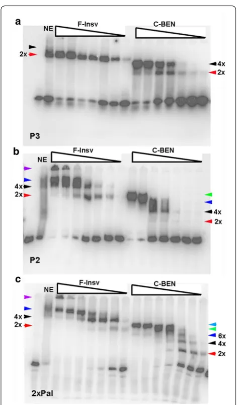 Fig. 4 HT:F-Insv and HS:C-BEN generate complex patterns of shifts with different substrates