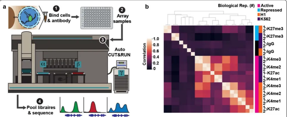 Fig. 1 An automated platform for high-throughput in situ profiling of chromatin proteins
