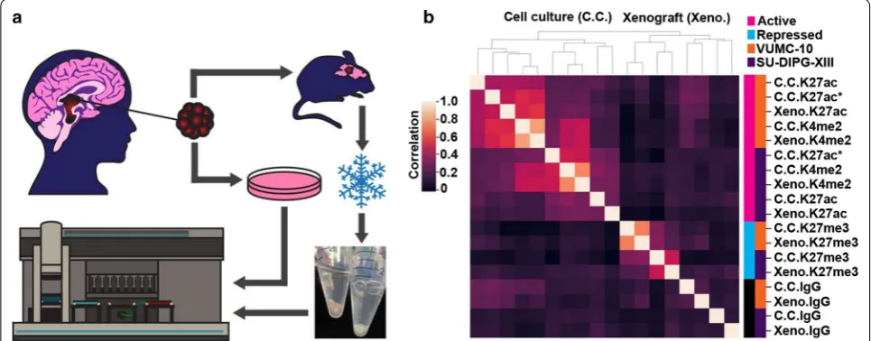 Fig. 5 AutoCUT&RUN is suitable for profiling the chromatin landscape of frozen tumor samples