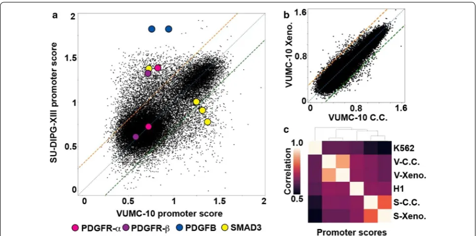 Fig. 6 Promoter activity modeling distinguishes gene activities in DMG samples. a Scatterplot comparing the promoter scores of VUMC-10 and SU-DIPG-XIII cell culture samples