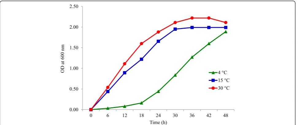 Fig. 2 Phylogenetic placements of Arthrobacter agilis strain L77 between known species of Arthrobacter genus