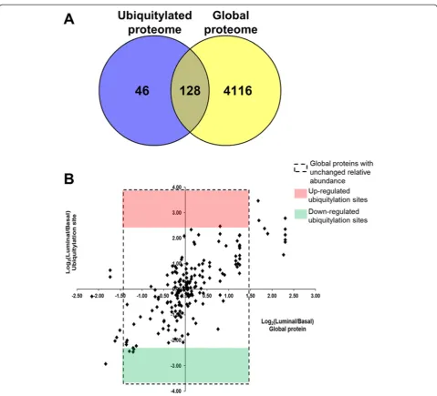 Table 1 Proteins of human origin with unchanged total relative abundance levels that have up-regulated (italic text) or down-regulated(bold text) ubiquitylation levels in the luminal vs