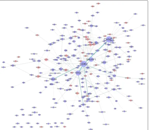 Figure 2 Interaction network constructed by proteins encoded by differentially expressed genes