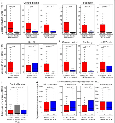 Fig. 4 Expression level of genes residing in LADs, Pc and HP1a domains is drastically lower than in the inter-domains in the central brain and fat body, except for the HP1a domains in Kc167 cells