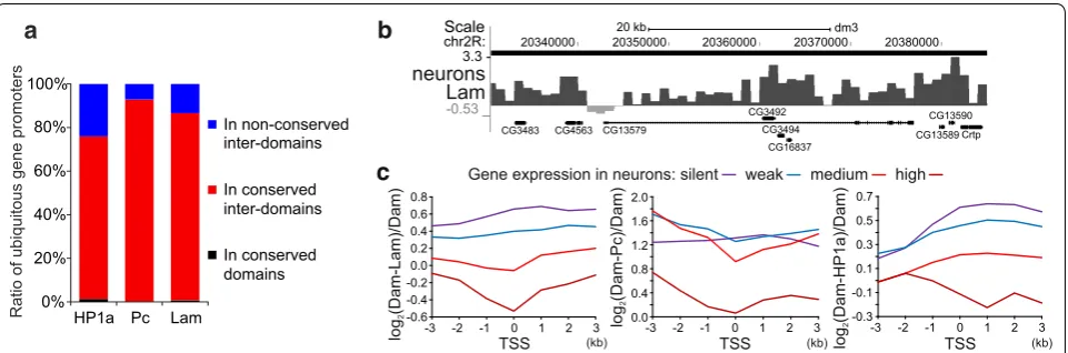 Fig. 5 Actively expressed gene promoters are not associated with the nuclear lamina and Pc