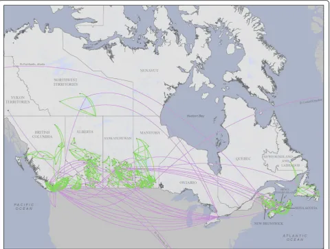 Fig. 1 Pan-Canadian inter-organizational network. The black circles represent LTC facilities, and the green and purple lines represent advice relationshipsbetween them