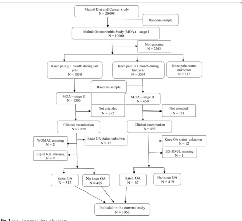 Fig. 1 Flow diagram of the study design