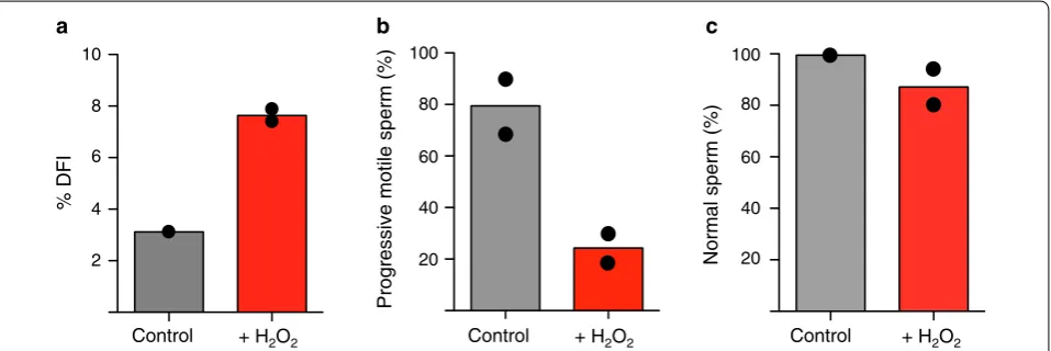 Fig. 1 Oxidative stress reduces motility and increases DNA damage in sperm. independent experiments are shown