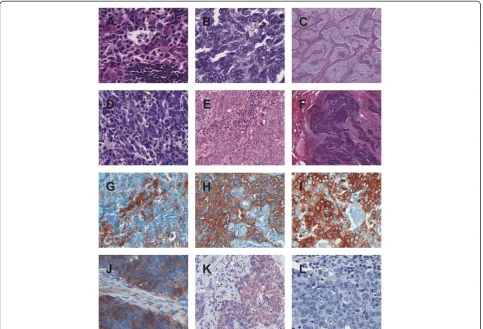 Table 3 Immunohistochemical expression pattern