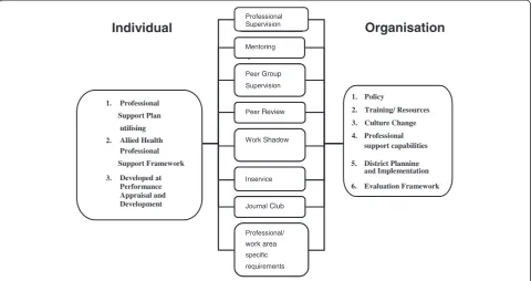 Figure 1 Professional support framework.