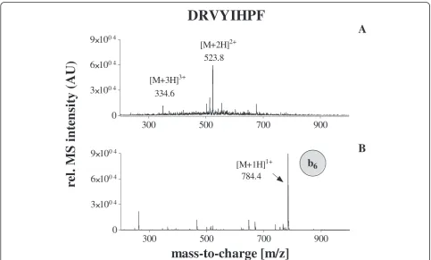 Figure 2 Overview about sample preparation for the quantification of angiotensin II.
