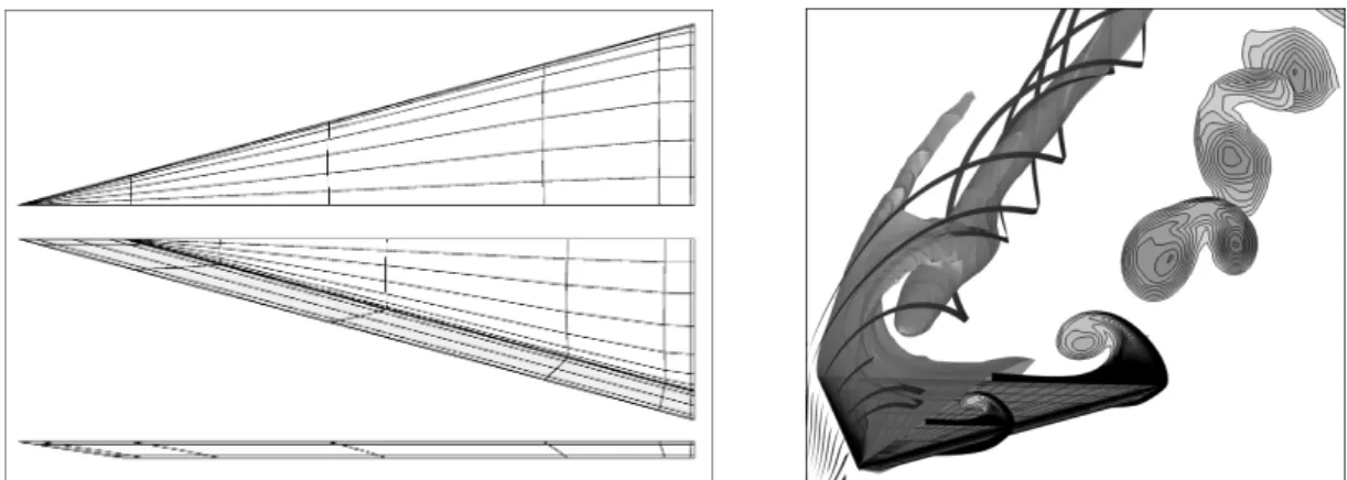 Figure 7. Left: Top, bottom and side view of the half model of the delta wing. The grid has been provided by NLR within the ADIGMA project