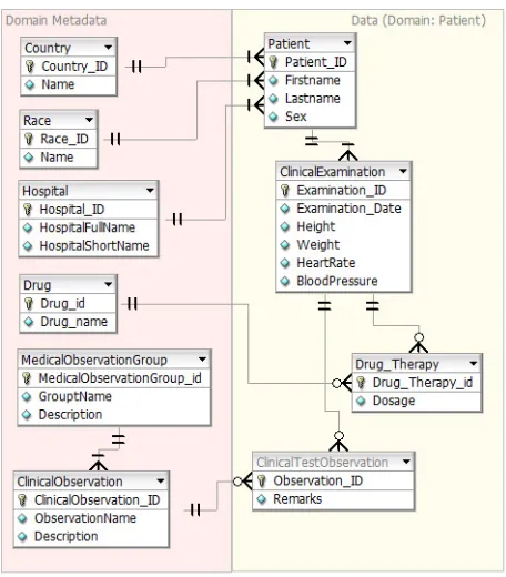 Figure 8: A subset of HeC patients’ database showing domain metadata and data tables 