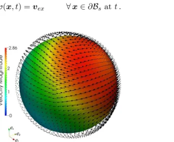 Figure 2 depicts the imposed velocity on the boundary surface ∂B s at the start of the compu- compu-tations