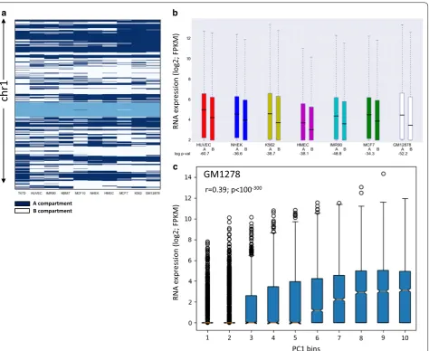 Fig. 1 Chromosomal compartments and gene expression. a A/B partition of chromosome 1 for different cell lines based on Hi–C data in 100-kb resolution