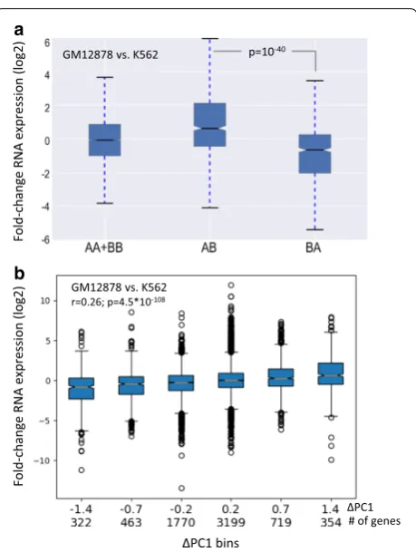 Fig. 2 a Association between dynamic A/B compartmentalization and differential gene expression in the comparison between the GM12878 and K562 cell lines (AB: the set of genes that are located in compartment A in GM12878 and B in K562; BA: genes located in 