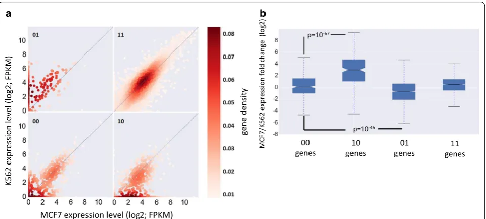 Fig. 5 Differential promoter interactions versus differential gene expression. a Genes located in the A compartment in both MCF7 and K562 cell lines (AA genes) were divided into four groups according to the engagement of their promoters in chromatin intera