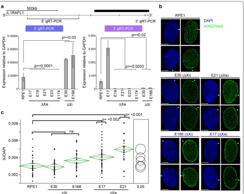 Fig. 7 Changes to IL1RAPL1 expression and Xi volume in enhancer deletion mutants. a Map showing the location of IL1RAPL1 exons (vertical bars) and the regions assessed for the 5′ and 3′ qRT-PCRs