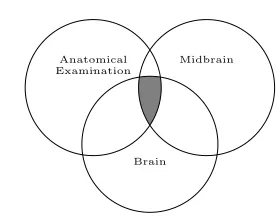 Fig. 6. The two input trees for our matching process