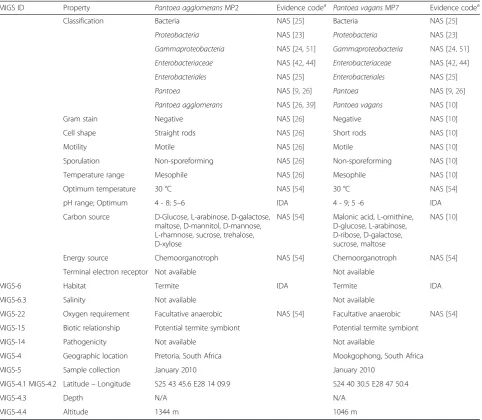 Table 1 Classification and general features of P. agglomerans MP2 and P. vagans MP7