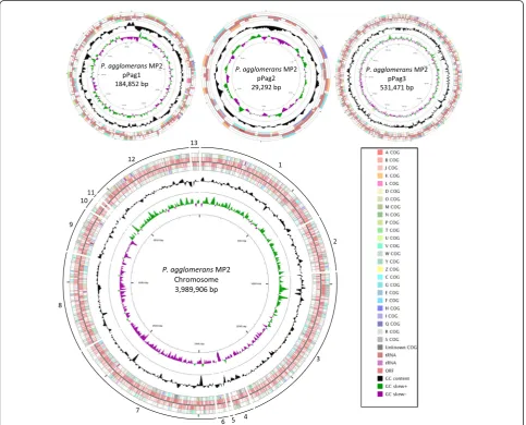 Table 3 Summary of the genomes