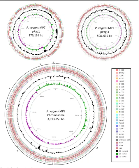 Fig. 4 (See legend on next page.)