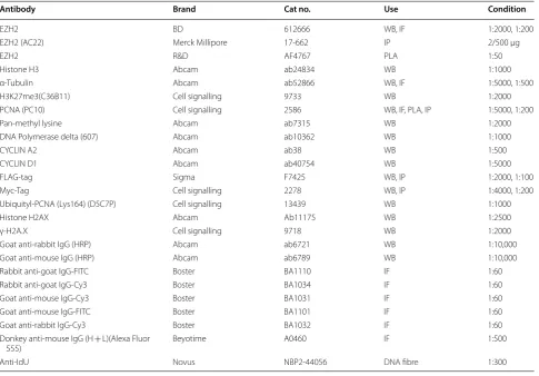 Table 1 Antibodies used in this study