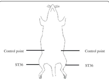 Figure 1 The detailed location of acupoints in this study.