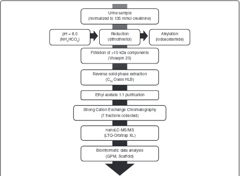 Figure 1 Outline of experimental workflow (peptidomic analysis). The workflow consisted of an optimized sample processing procedure,followed by strong cation exchange and reverse-phase chromatography coupled online to an LTQ-Orbitrap mass spectrometer, and subsequentdata analysis.