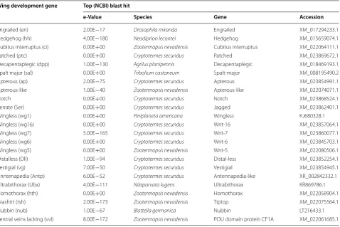 Table 1 Wing development genes predicted in the notum of vestigial- and full-winged Zelandoperla fenestrata 