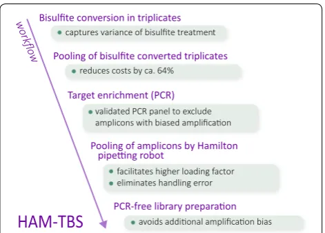 Fig. 1 Workflow of the HAM-TBS method, depicting important processing steps and their advantages