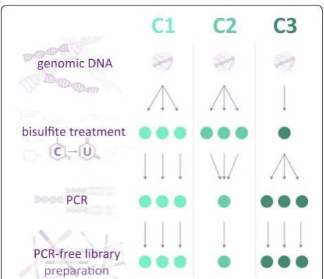 Fig. 2 Setup of the TBS validation approach with the control conditions C1, C2 and C3