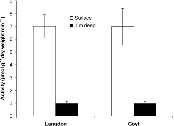 Figure 14  Cellobiohydrolase activity in surface and 1 m deep peat from Langdon and Goyt moors