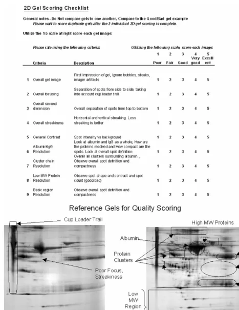 Fig. 3. 2-D Gel Quality Scoresheet used for Statistical Quality Scoring (SQS). Each of 108 gels were randomlyscored by five scorers using the instructions and scoresheet shown here
