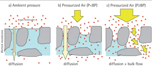 Figure 4: When a differential pressure is applied across a completely wetted membrane, the pores are blocked and only low quantities of gas molecules have the chance to pass the membrane by diffusion.